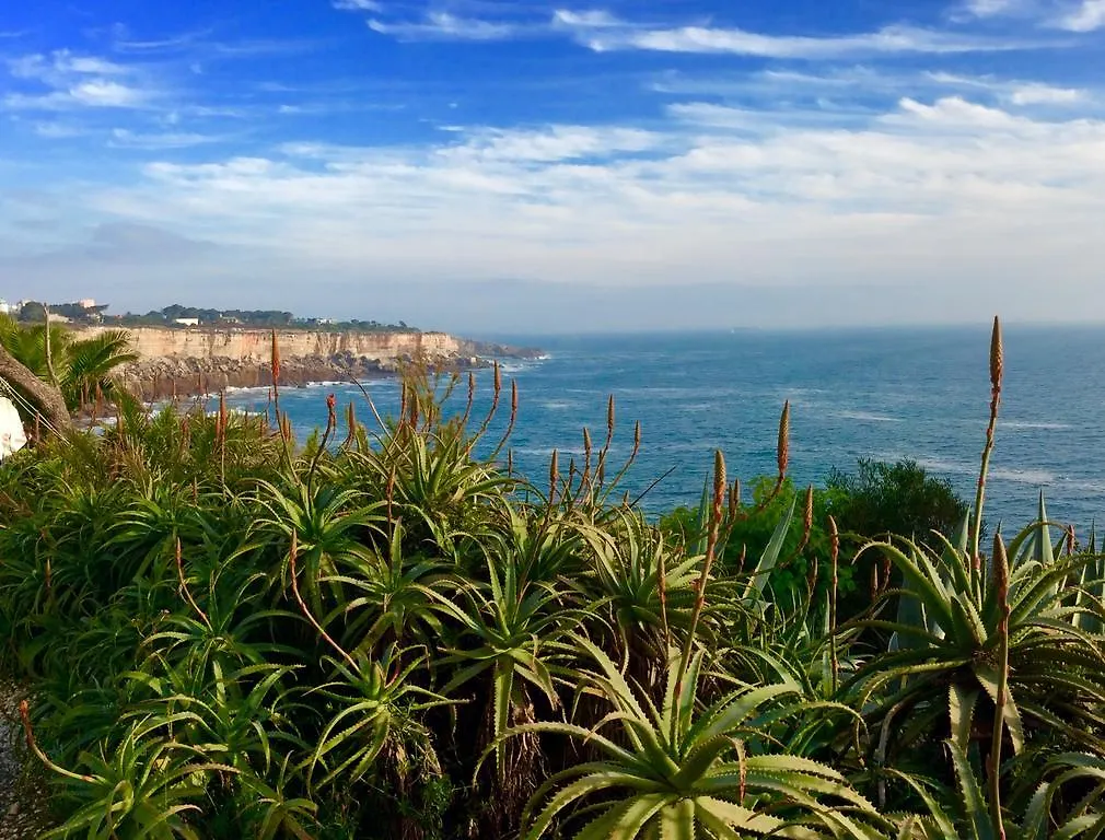 Villa Dos Teixos Cascais Accommodatie bij particulieren